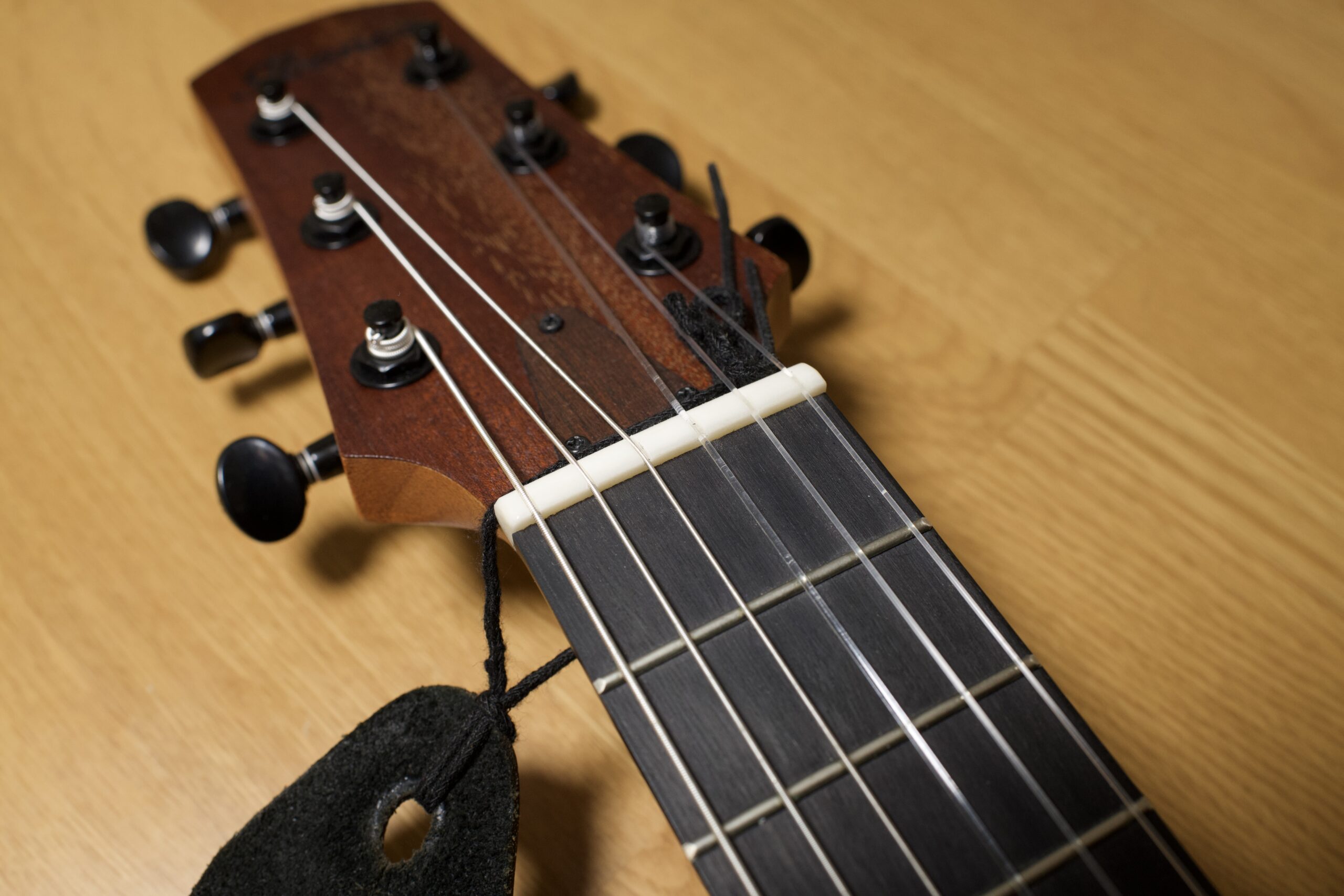 Ibanez（AUP10N-OPN）の写真をちょっとだけ