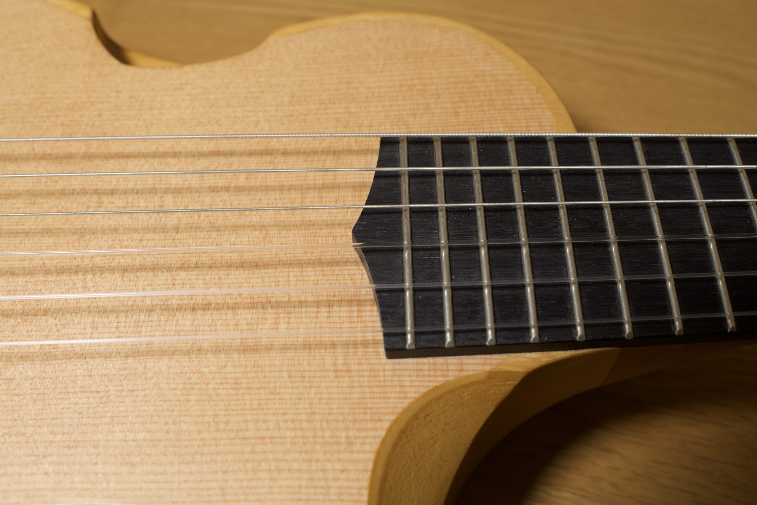 入手前に気になったことを入手後に回答する！Ibanez（AUP10N-OPN）ってどうなのさ？