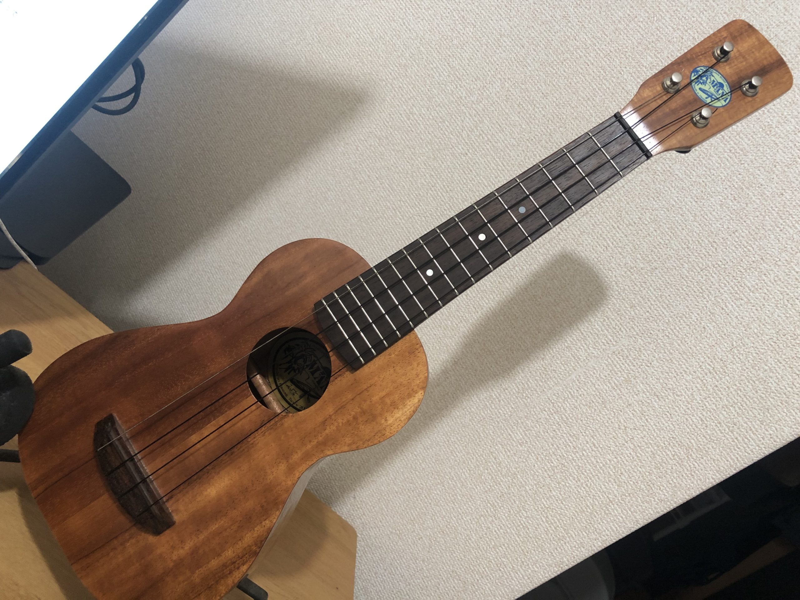 【買った！】MANA（マナ）のウクレレってどうなの？