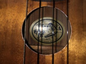 【買った！】MANA（マナ）のウクレレってどうなの？