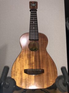 まとめ MANAのウクレレに思うこと